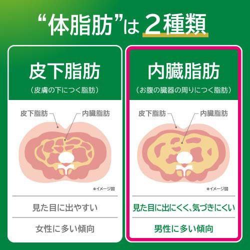 ����� �إ륷������(12������2���å�(1��1050ml))�ڥإ륷����