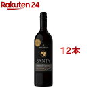 サントリー サンタ バイ サンタカロリーナ カルメネール プティ・ヴェルド(750ml*12本セット)【サンタ バイ サンタ カロリーナ】