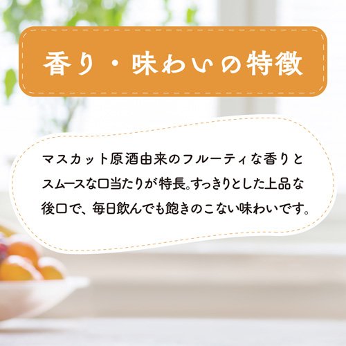 サントリー ブランデー V.O(2700ml)