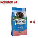 ハッピードッグ センシブル ジュニアサーモン&ポテト(1kg×4セット)