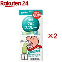 【第3類医薬品】健栄のどスプレー(12ml×2セット)