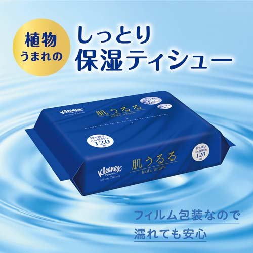 クリネックス ローション ティッシュ 肌うるる ソフトパック 保湿(240枚入(120組)*24個セット)【クリネックス】