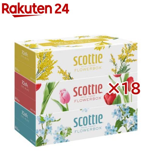 åƥ ƥå եܥå(3Ȣѥå18å(1Ȣ500(250)))ڥåƥ(SCOTTIE)