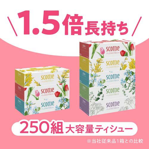 スコッティ ティッシュ フラワーボックス(5箱パック×12セット(1箱500枚(250組)))【スコッティ(SCOTTIE)】