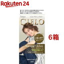 シエロ デザイニングカラー ナチュラルオークル(6箱セット)【シエロ(CIELO)】