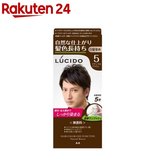 ルシード ワンプッシュケアカラー 5 ナチュラルブラウン(50g+50g)【ルシード(LUCIDO)】[白髪染め]