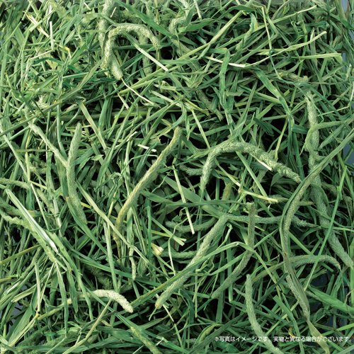 おいしいチモシー(1.1kg×6セット)【GEX(ジェックス)】 - Image 2