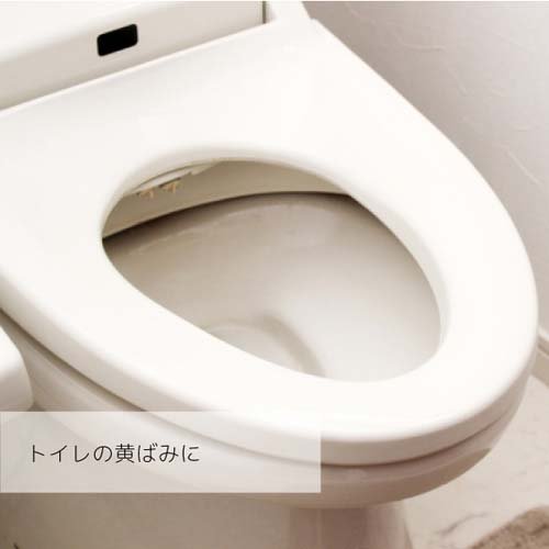 住まいの魔法のパウダー クエン酸(300g*2袋セット)