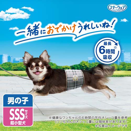サンプル画像2