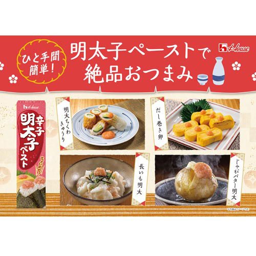 �ɻ������ҥڡ�����(40g*2�ܥ��å�)