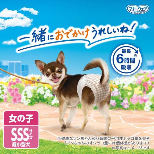 サンプル画像2