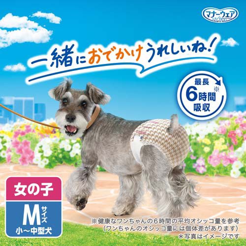 サンプル画像2