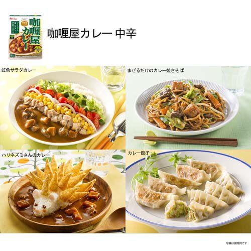 カリー屋カレー 6種12食詰め合わせ(12食入×2セット)【カリー屋シリーズ】 rakuten24-11334102 楽天24 サンプル画像3