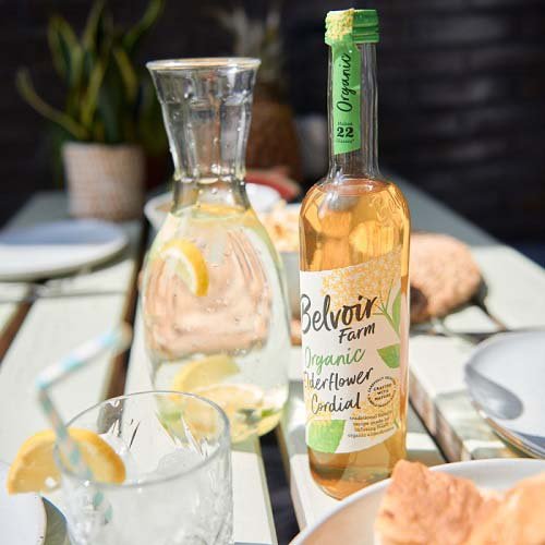 ユウキ食品 オーガニックコーディアル エルダーフラワー(500ml*2本セット)【有機コーディアル】[希釈ドリンク ハーブ セイヨウニワトコ シロップ]