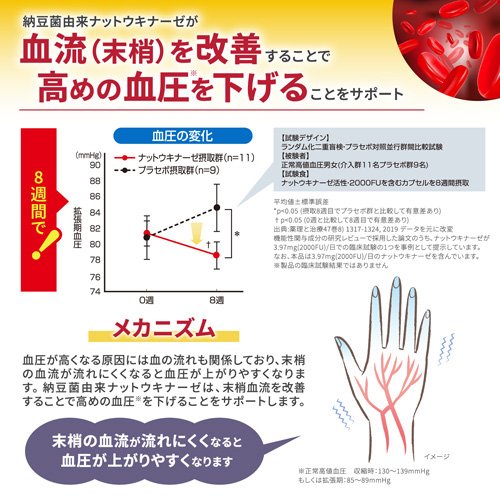 ナットウキナーゼ さらさら粒 約30日分 高めの血圧対策 サプリ(60粒入り×10袋セット)【小林製薬の機能性表示食品】 rakuten24-11053642 楽天24 サンプル画像3