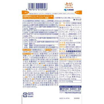 小林製薬の栄養補助食品 ビタミンB群 約60日分(120粒入)【イチオシ】【小林製薬の栄養補助食品】