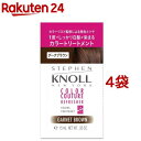 スティーブンノル カラークチュール カラートリートメント 002(15g*4袋セット)【スティーブンノル】