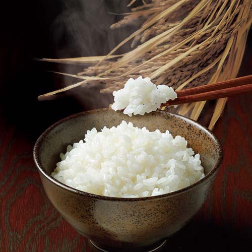 �۸�Τ��Ϥ� ���㸩�������ҥ���(5������8���å�(1��180g))�ڱ۸����ۡ�