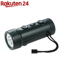 エルパ ラジオ付ライト DOP-660(1コ入)【エルパ(E...