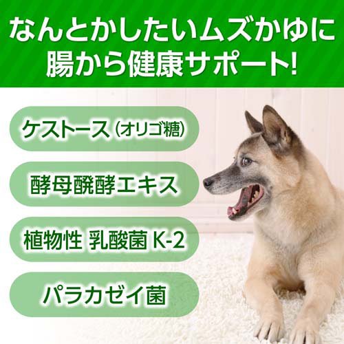 サンプル画像3
