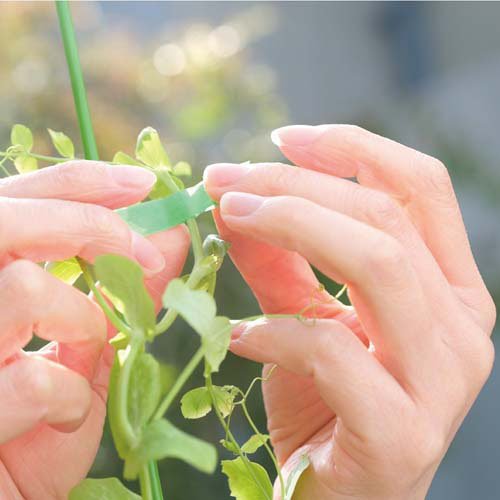 Ͷ���ơ���(2������480���å�)��mt masking tape��