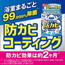 ルックおふろの防カビくん煙剤消臭ミントの香り(4g)【rainy_2】【ルック】 3