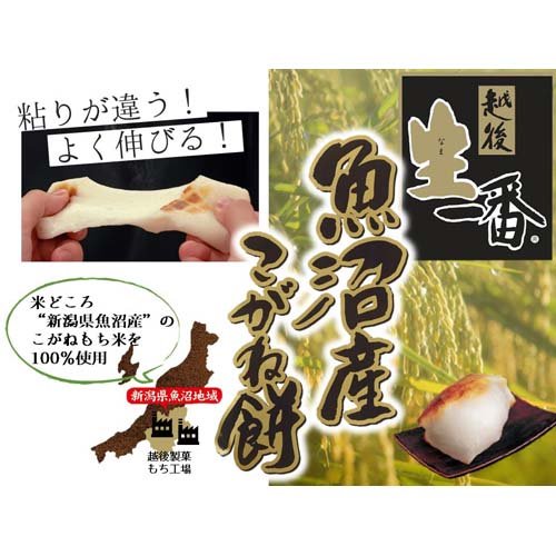 サンプル画像2