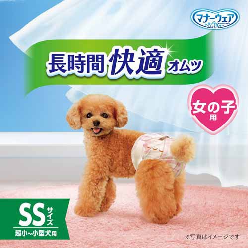 サンプル画像3