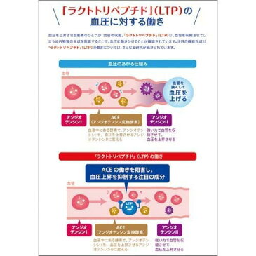 アミール サプリメント(120粒*2コセット)【x9e】【アミールS(アミールエス)】