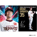 2023選手ビジュアルクリアファイル#35島内宏明《楽天イーグルス》