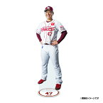 【受注生産】2024 ホームユニフォームアクリルスタンド［大］#47藤井聖【6月中旬以降発送予定】《楽天イーグルス》