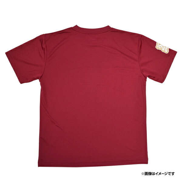 2024プロモデルチームTシャツ［サイズS/M/L/XL/2XL］《楽天イーグルス》 3