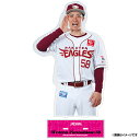 【受注生産】【2025 PLAYERS GOODS】#58辛島航│わしほーアクリルスタンド【11月上旬以降発送予定】《楽天イーグルス》【0829players】