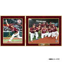【数量限定】【受注生産】#71柴田大地選手 プロ初勝利記念 直筆サイン入りフォトパネル【決済確認後、約3か月以降発送予定】《楽天イーグルス》【#71初勝利1】