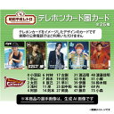 【Eコレ】【昭和平成レトロシリーズ】AI画像テレホンカード風カード【全25種】《楽天イーグルス》