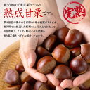 楽天軒 甘栗 天津甘栗 徳用袋 700g創業120年の老舗 あまぐり 栗 スイーツ 和菓子 お菓子 秋 和スイーツ マロン 菓子 栗本来の甘さ 人気 孫 祖父 祖母 誕生日 2