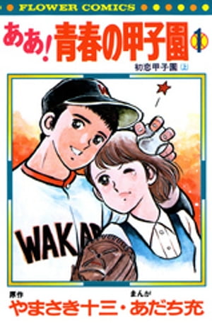 ああ！青春の甲子園（1）【電子書籍】[ やまさき十三 ]