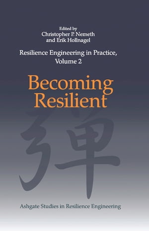 Resilience Engineering in Practice, Volume 2