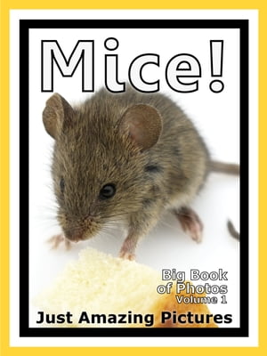 Just Mouse Photos! Big Book of Photographs & Pictures of Mice, Vol. 1