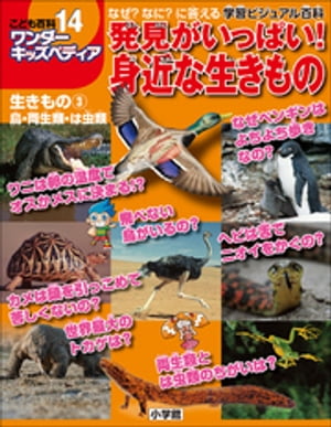 ワンダーキッズペディア14　生きもの3 鳥・両生類・は虫類 〜発見がいっぱい！身近な生きもの〜