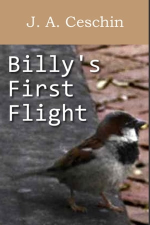 Billy's First Flight【電子書籍】[ J.A. Ceschin ]