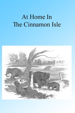 ŷKoboŻҽҥȥ㤨At Home in the Cinnamon Isle 1855Żҽҡ[ A Guernsey ]פβǤʤ163ߤˤʤޤ