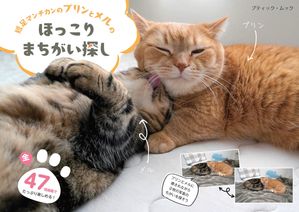 短足マンチカンのプリンとメルのほっこりまちがい探し【電子書籍】[ ブティック社編集部 ]