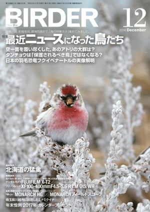 BIRDER2016年12月号