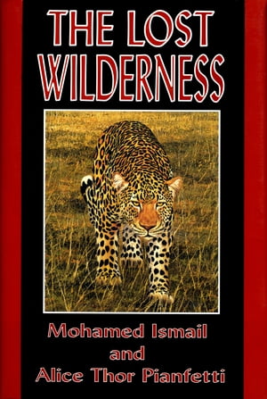 The Lost Wilderness
