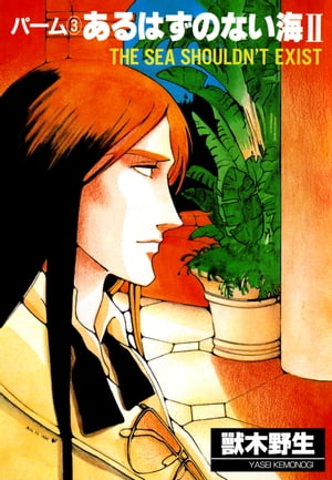 パーム　（3）　あるはずのない海　II【電子書籍】[ 獸木野生 ]
