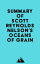 Summary of Scott Reynolds Nelson's Oceans of GrainŻҽҡ[ ? Everest Media ]