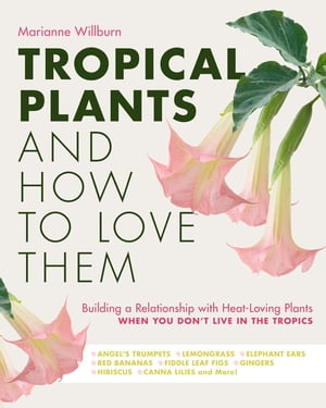 Tropical Plants and How to Love Them Building a Relationship with Heat-Loving Plants When You Don 039 t Live In The Tropics - Angel 039 s Trumpets Lemongrass Elephant Ears Red Bananas Fiddle Leaf Figs Gingers Hibiscus 【電子書籍】