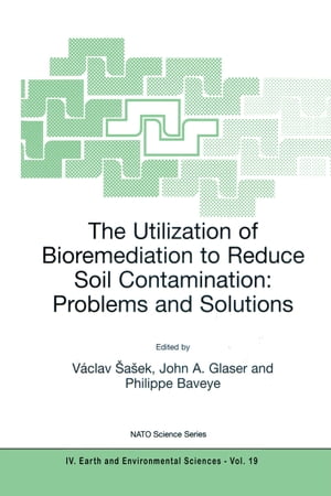 The Utilization of Bioremediation to Reduce Soil Contamination: Problems and Solutions