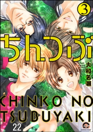 ちんつぶ（分冊版） 【第22話】